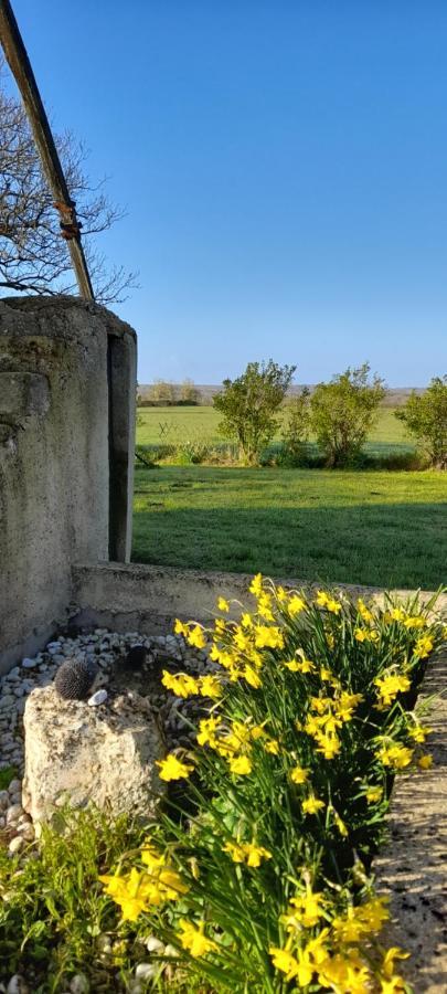 הוילה Saint-Cyr-des-Gats Moulin A Vent Le Champ Du Trail מראה חיצוני תמונה